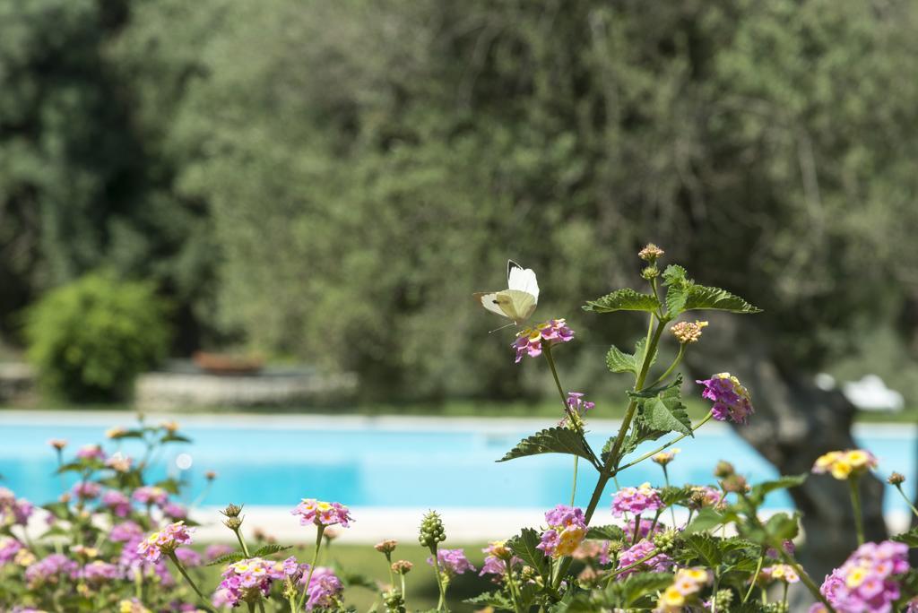 Agriturismo Borgo Degli Ulivi Canicattini Bagni Exterior foto